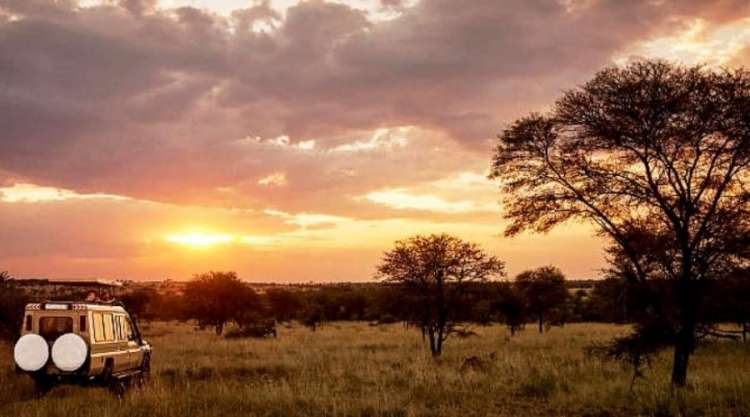 La savana